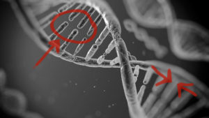 Match the DNA
